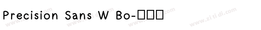 Precision Sans W Bo字体转换